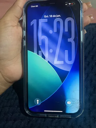 12 pro max todo bom
