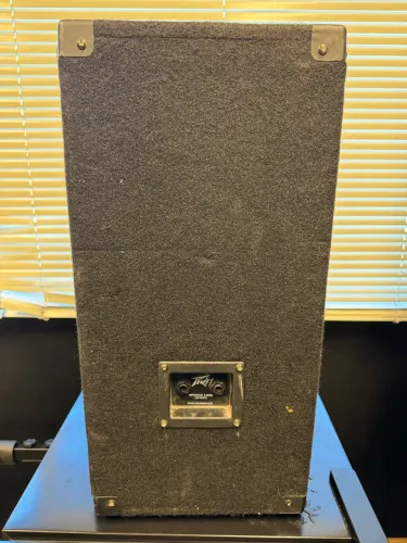 Par de caixas passivas 12? peavey