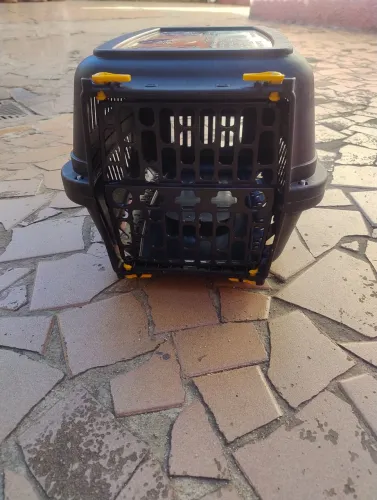 Caixa de transporte para Gatos
