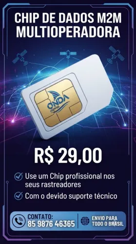 Chip