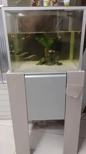 Aquário 80L com móvel