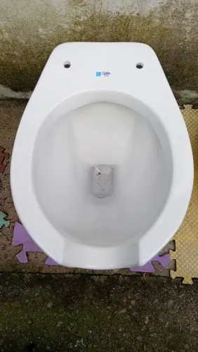 Vários vasos