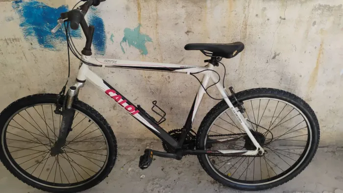 Bicicleta