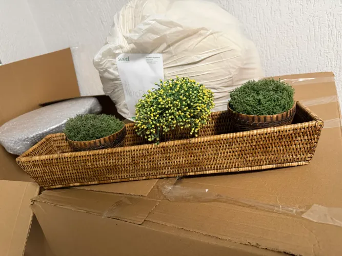 Decoração cachepô planta
