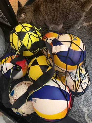 Bolas de vôlei e futevôlei