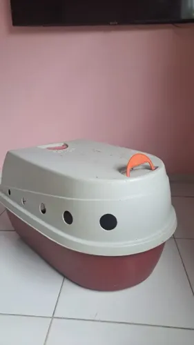 Caixa para transporte de pet