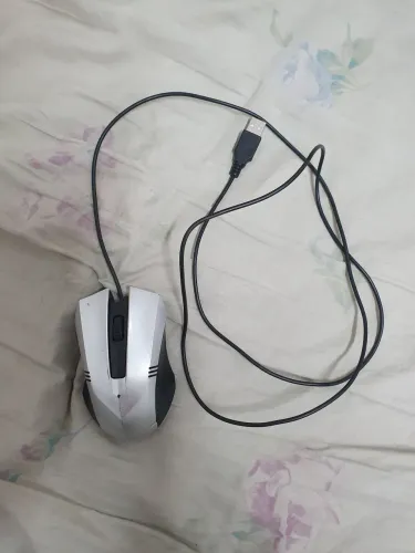 Mouse