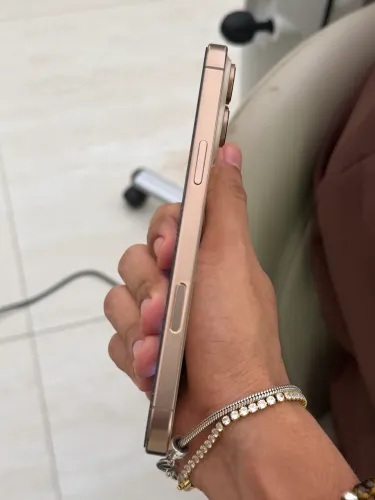 16 pro max 256GB
