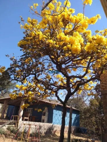 Excelente chácara à venda na Vivenda Santa Mônica II, em Igarapé!