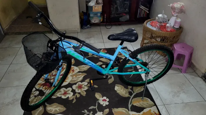 Bicicleta aro 24