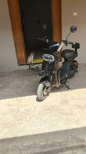 Scooter elétrica