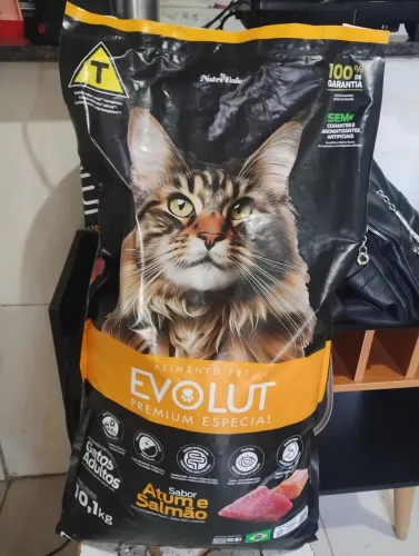 Ração de gato e petisco