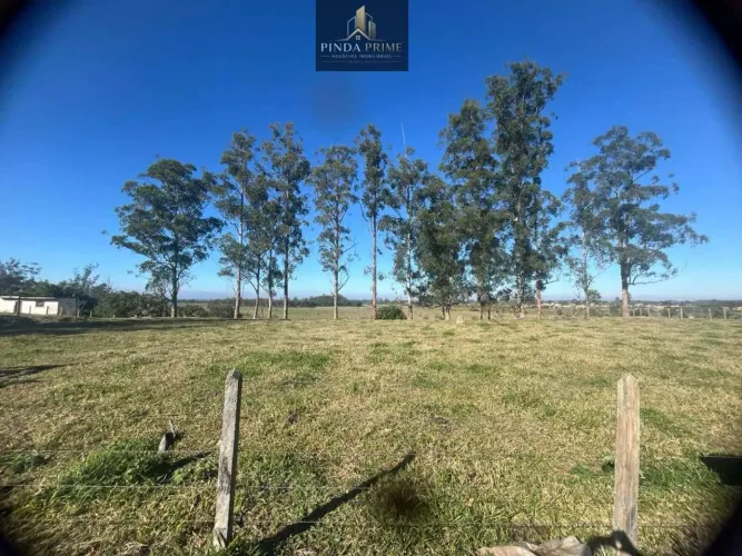 Terreno à venda em Pindamonhangaba, Bom Sucesso, 20.000m²