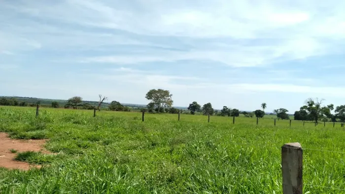 MG Iturama barbada   sitio por 2.000,000   pecuaria linda linda