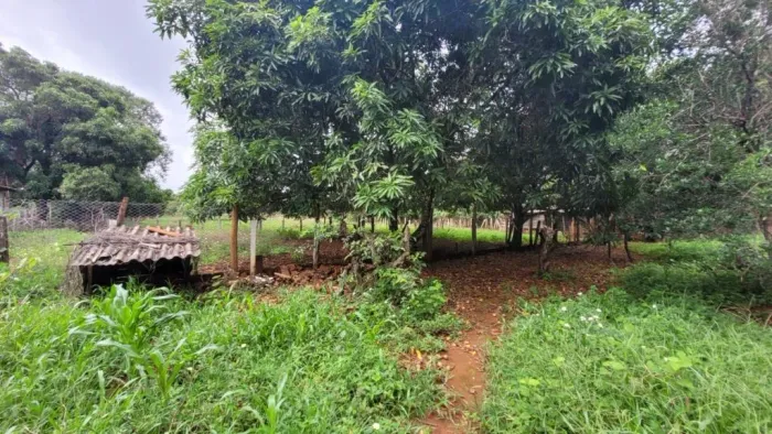 Chacará - Recreio dos Bandeirantes