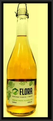 Hidromel ( Champagne Luxo & VInho) 60 Garrafas ! Promoção Leia !