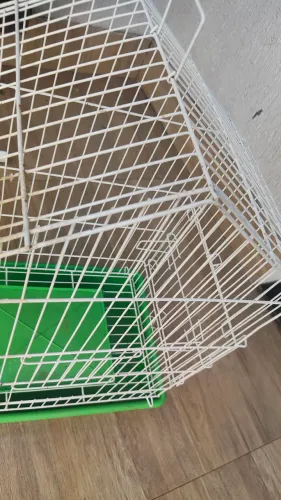 Gaiola para Calopsita semi-nova