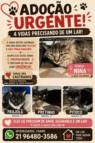 Adoção responsável