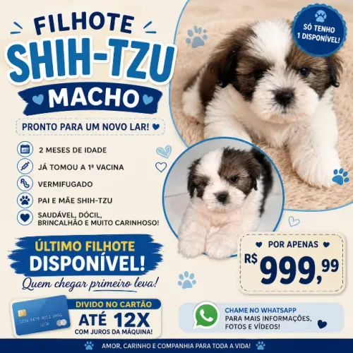 Shitzhu