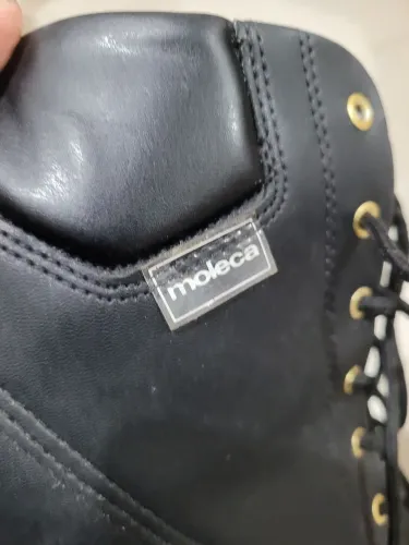 Bota