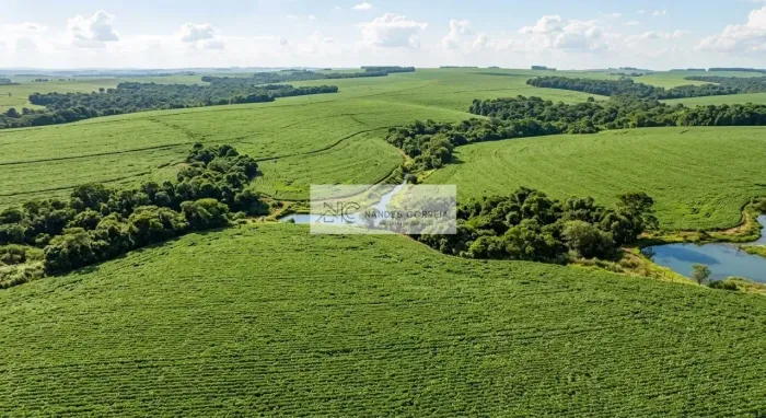 OPORTUNIDADE EM TAMARANA/PR FAZENDA COM ALTA PRODUTIVIDADE EM SOJA