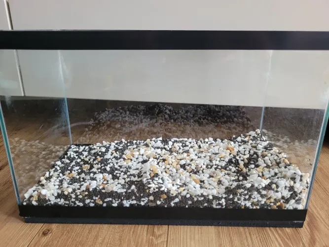 Aquário 20 Litros para Iniciantes (Com decoração e acessórios)