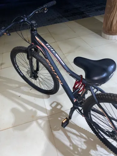 Bicicleta South