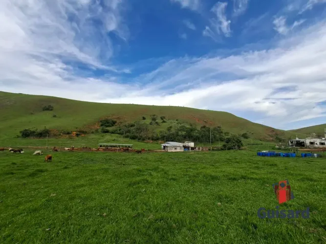 Fazenda à Venda em Guaratinguetá/SP 82 Alqueires | Estrutura Completa