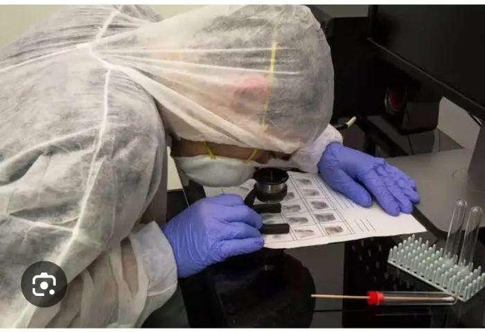 Montagem de laboratorio e perito em analises quimica e instrumental analitica 
