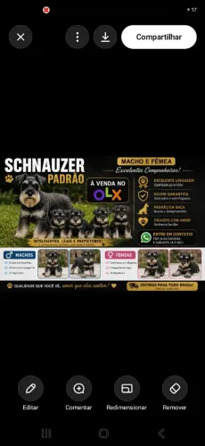 SCHNAUZER