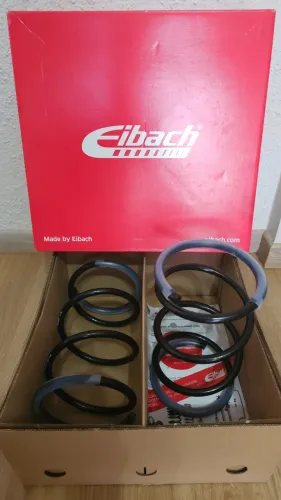 Mola Eibach Peugeot 206