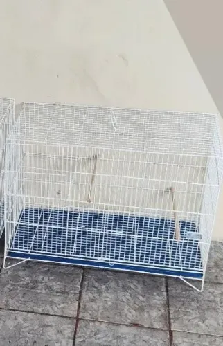 Gaiola Criadeira para Calopsitas 