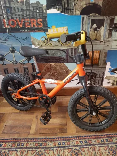 Bicicleta