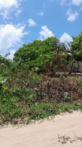 Vendo terreno 15x30 em Jacumã 