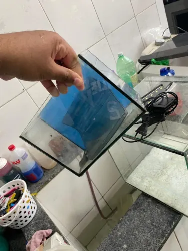 Peças de Aquario