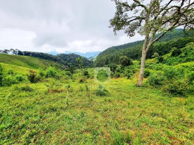 Terreno alto de montanha com muita água e vista em Luminosa à venda, 67400 m² por R$ 850.0