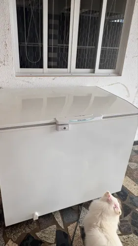 Freezer eletrolux