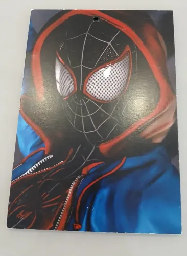 Quadro do Homem Aranha
