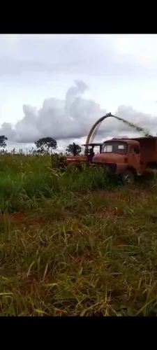 Caminhão caçamba