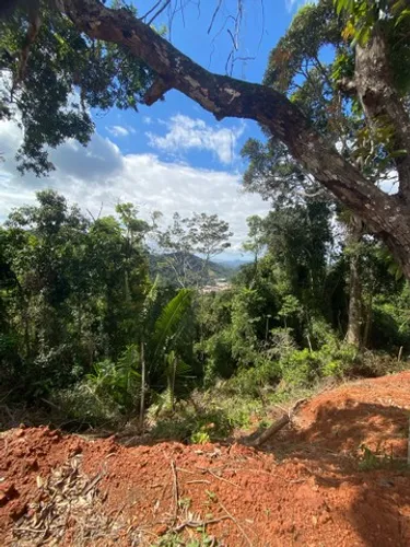 Lote no Pinheiro Bravo - Domingos Martins