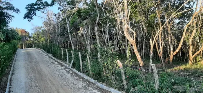 LOTES EM MULUNGU - EXCELENTE LOCALIZAÇÃO 