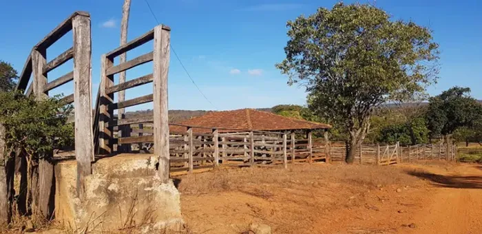 Fazendinha 25 Alqueires,Tamanho Superado Pela Qualidade ,localização E Logistica...