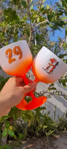 TAÇA DE GIN DEGRADÊ PERSONALIZADA