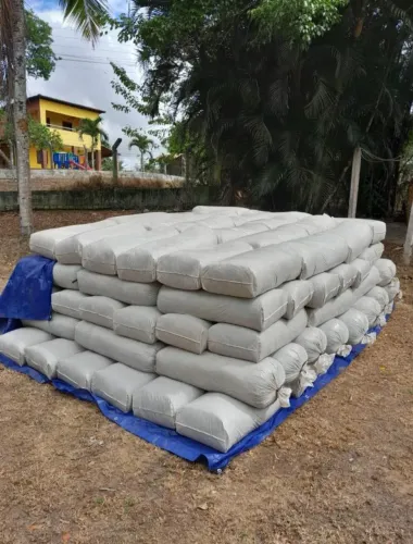 SIALGEM SILO CAPIM BRS CAPIAÇU E VENDO MUDAS TB