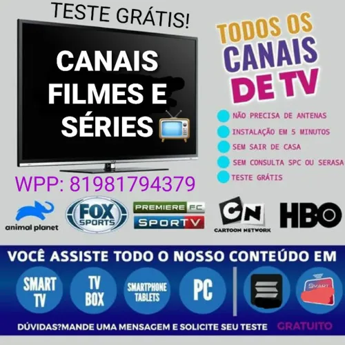 Smart TV PL317
