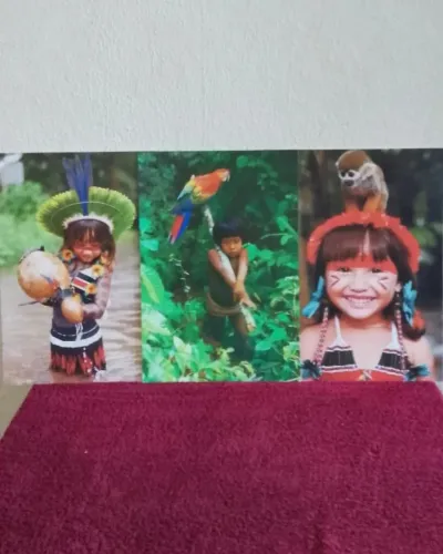 Combo de 3 Quadros Decorativos Amazônicos