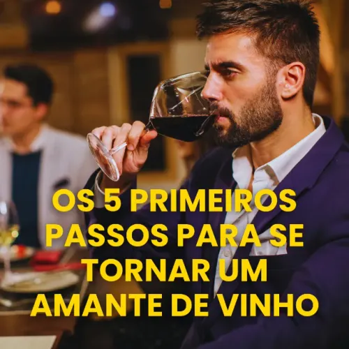 Coleção essencial sobre vinhos