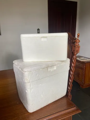 Caixa de isopor as duas 35,00