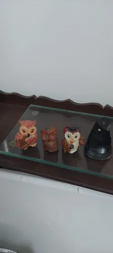 Lindas corujas pequenas de enfeite