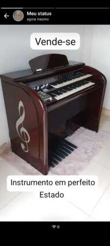 Órgão eletrônico 